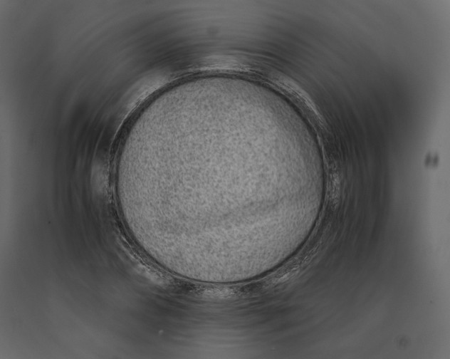 X0000090900882200708270941