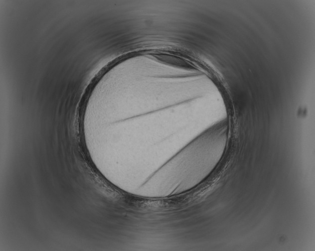 X0000090900883200708270941