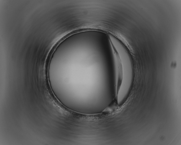 X0000090900884200708270941