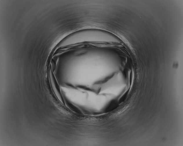 X0000090900885200708270941