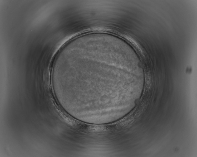 X0000090900886200708270941