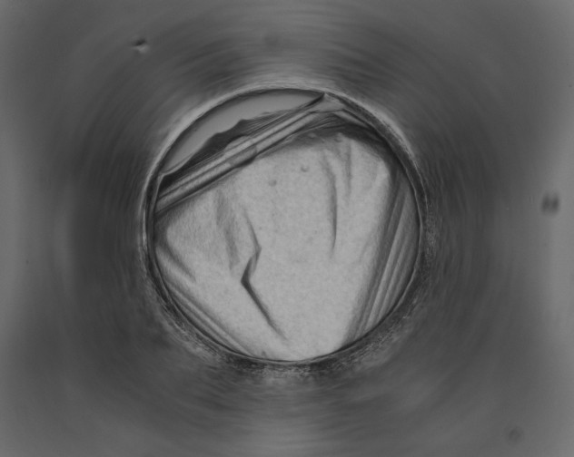 X0000090900887200708270941