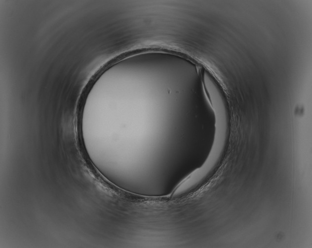 X0000090900888200708270941