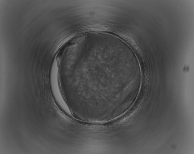 X0000090900889200708270941
