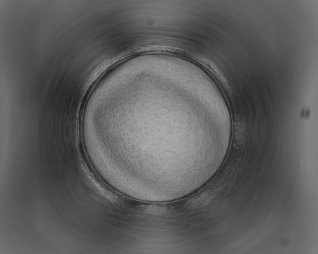 X0000090900890200708270941