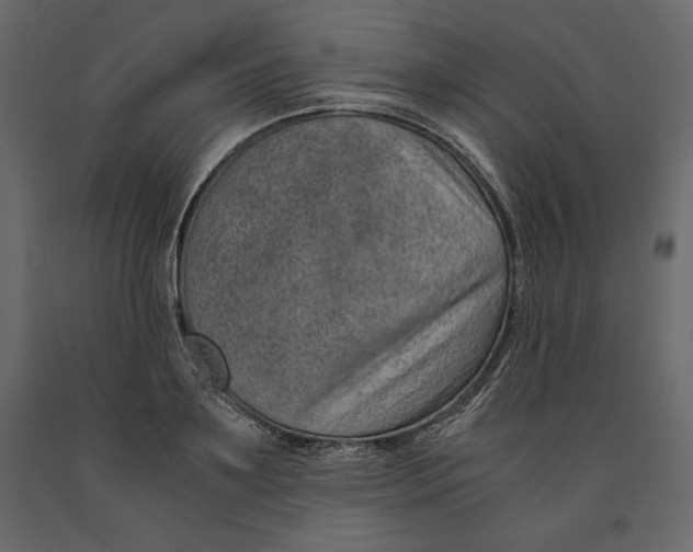 X0000090900891200708270941