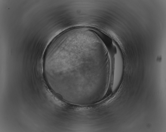 X0000090900892200708270941