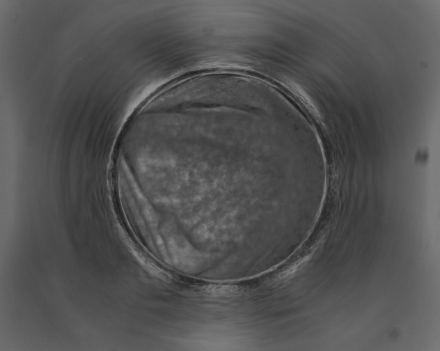 X0000090900893200708270941