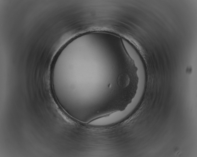X0000090900894200708270941