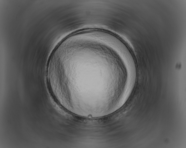 X0000090900895200708270941