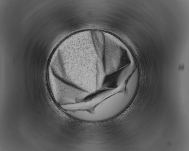 X0000090900896200708270941