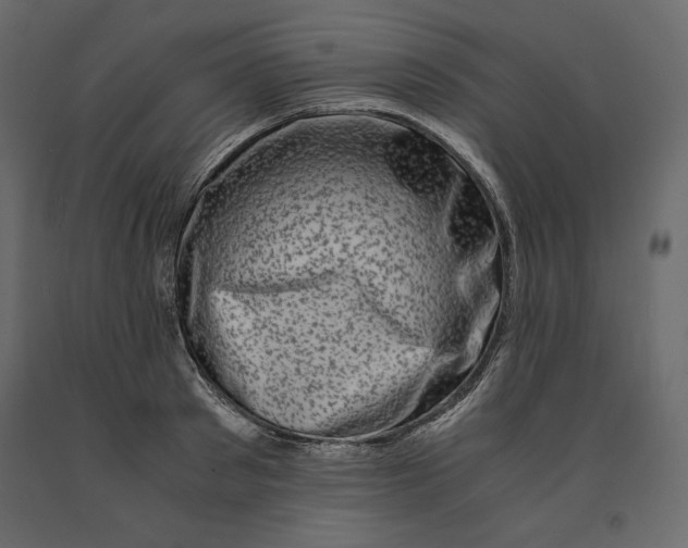 X0000090900897200708270941