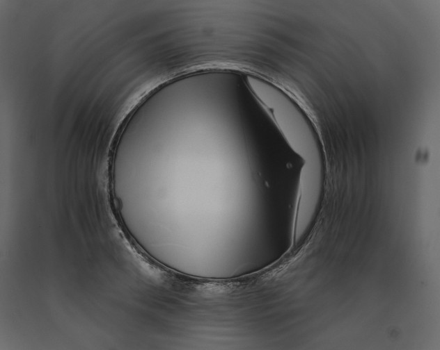 X0000090900898200708270941