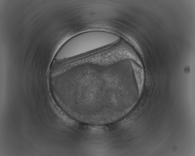 X0000090900899200708270941