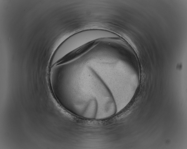 X0000090900901200708270941