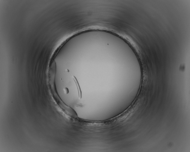 X0000090900902200708270941