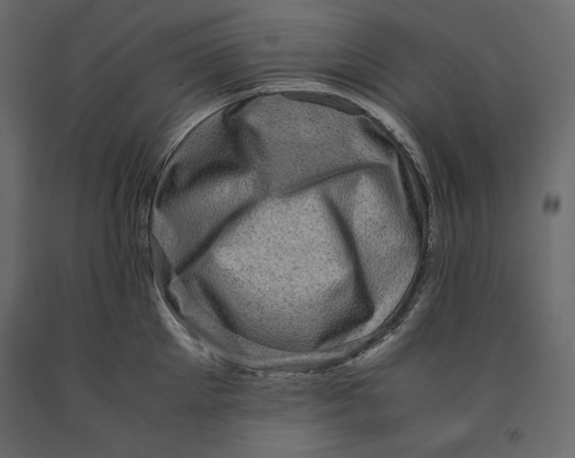 X0000090900905200708270941