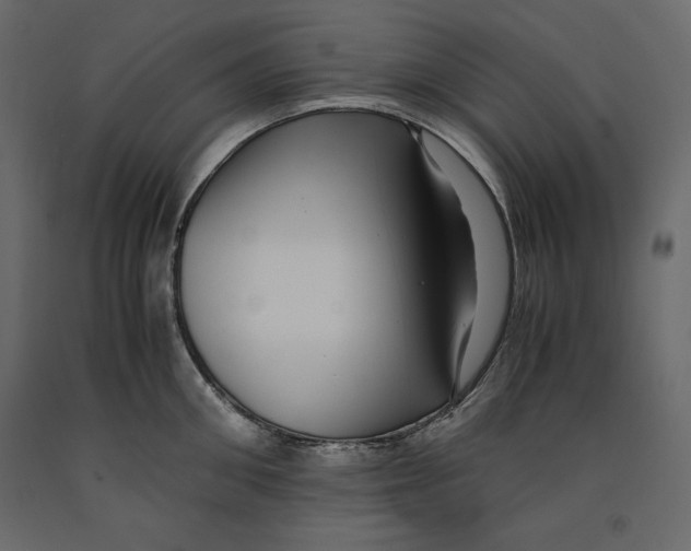 X0000090900906200708270941