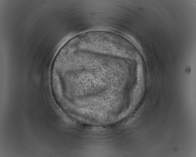 X0000090900907200708270941