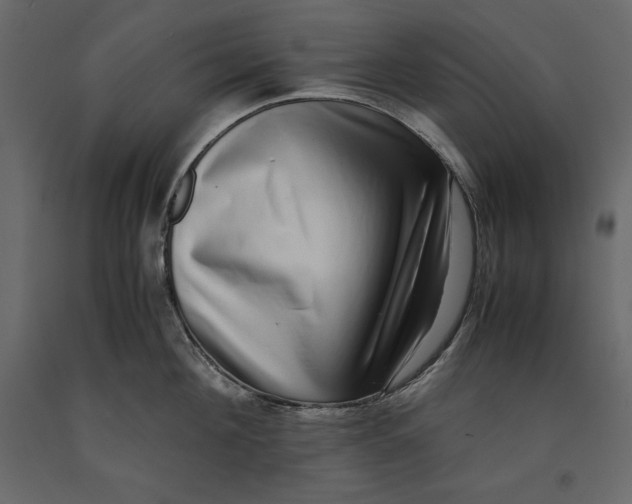 X0000090900908200708270941
