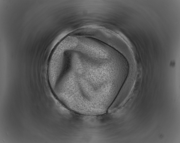 X0000090900909200708270941