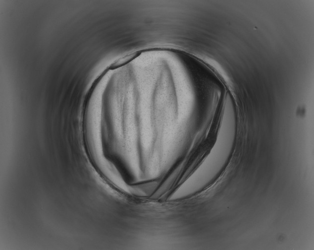 X0000090900910200708270941