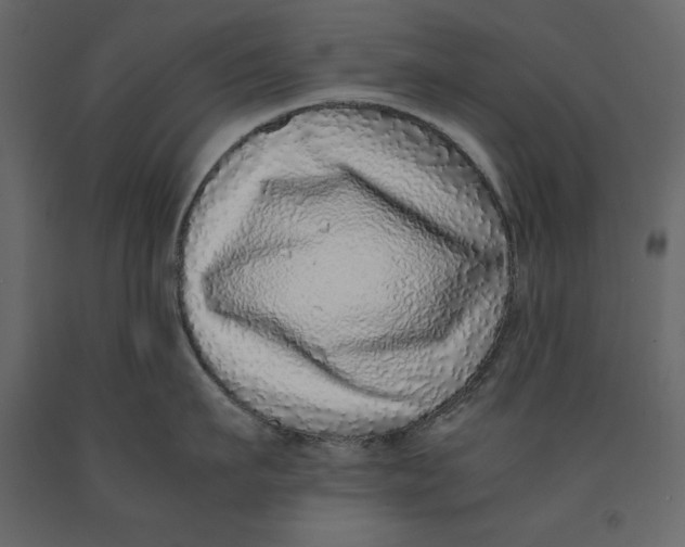 X0000090900911200708270941