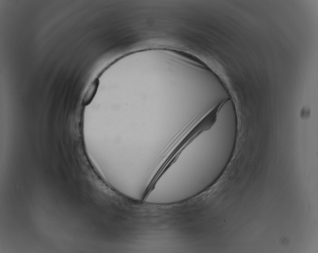 X0000090900912200708270941