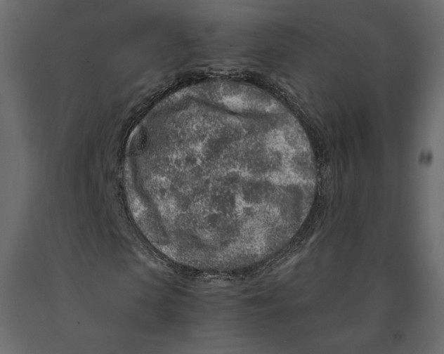 X0000090900913200708270940