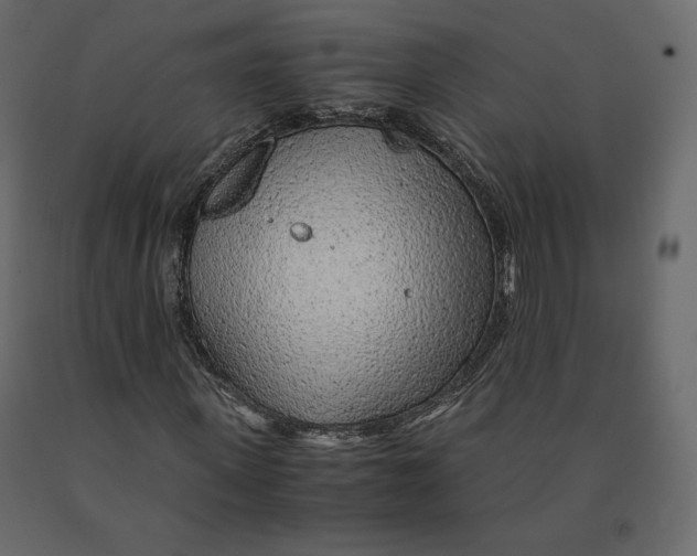 X0000090900915200708270940