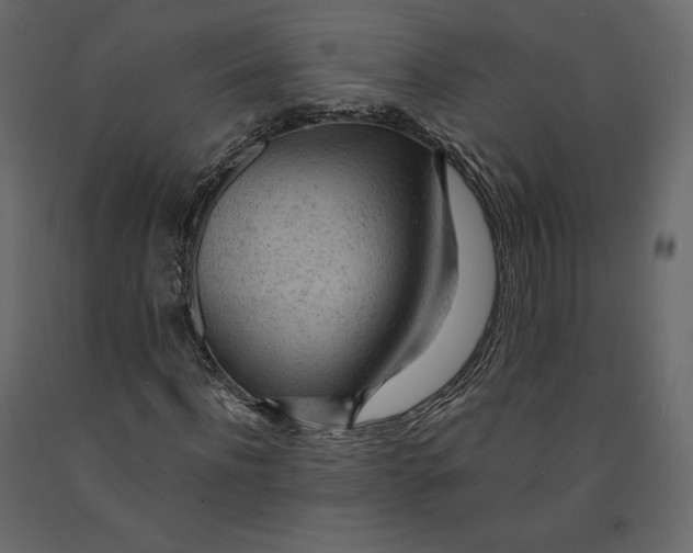 X0000090900916200708270940