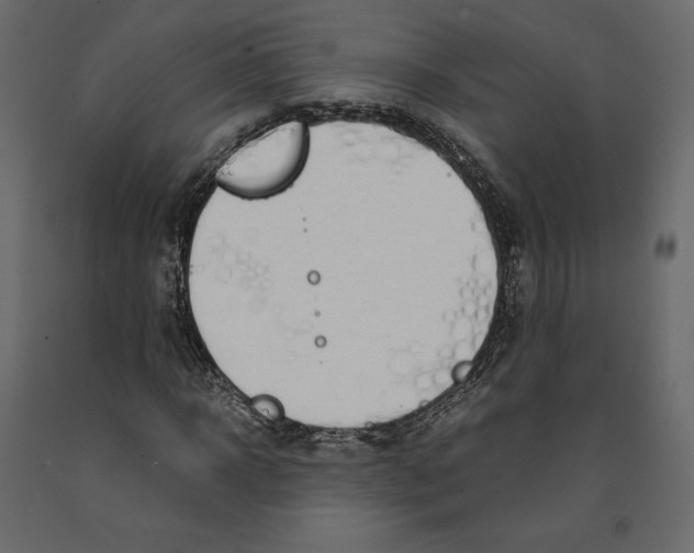 X0000090900918200708270940