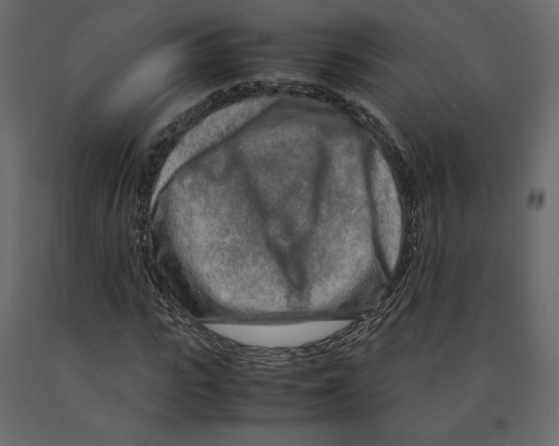 X0000090900919200708270940