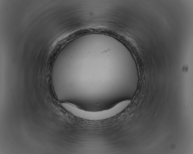 X0000090900920200708270940
