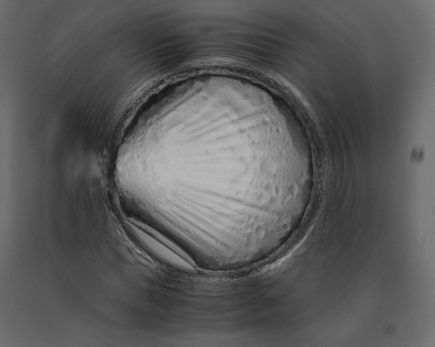 X0000090900921200708270940