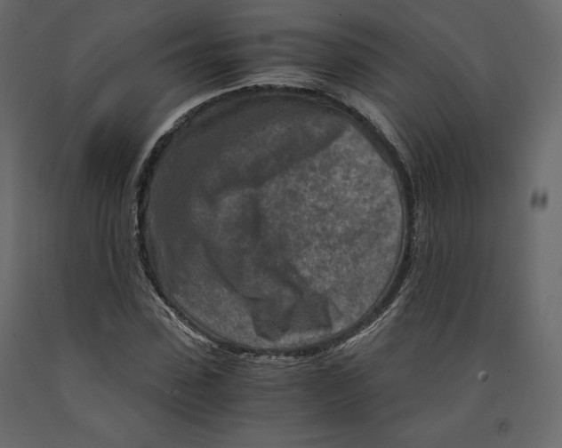 X0000090900923200708270940