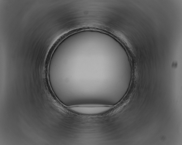 X0000090900924200708270940