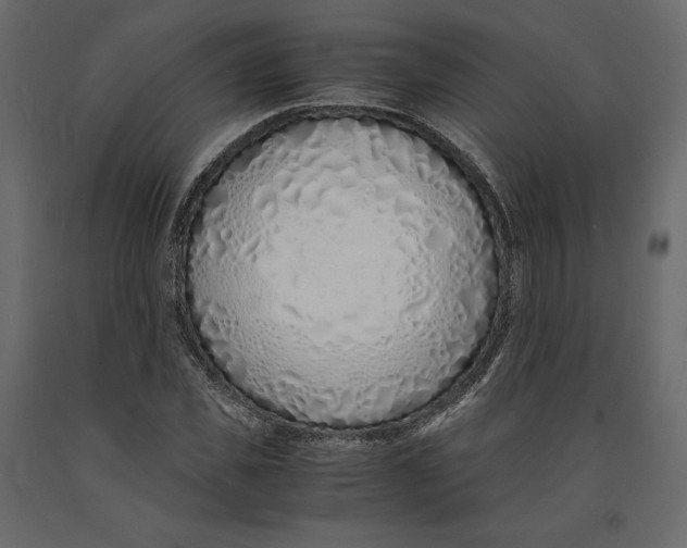 X0000090900925200708270941