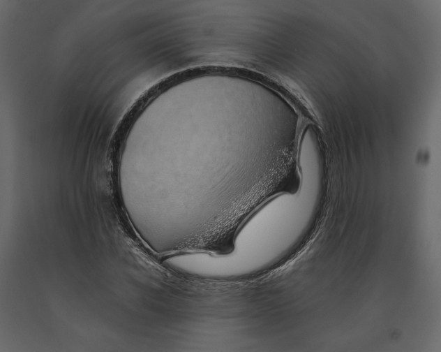 X0000090900926200708270941