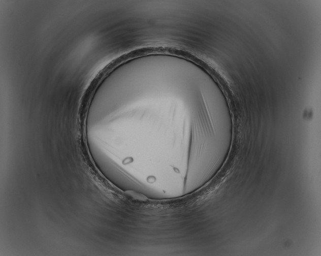 X0000090900927200708270941