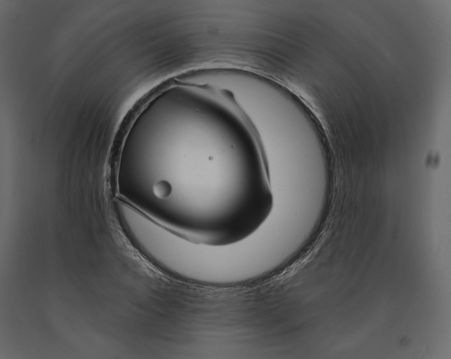 X0000090900928200708270941