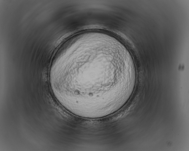 X0000090900929200708270941