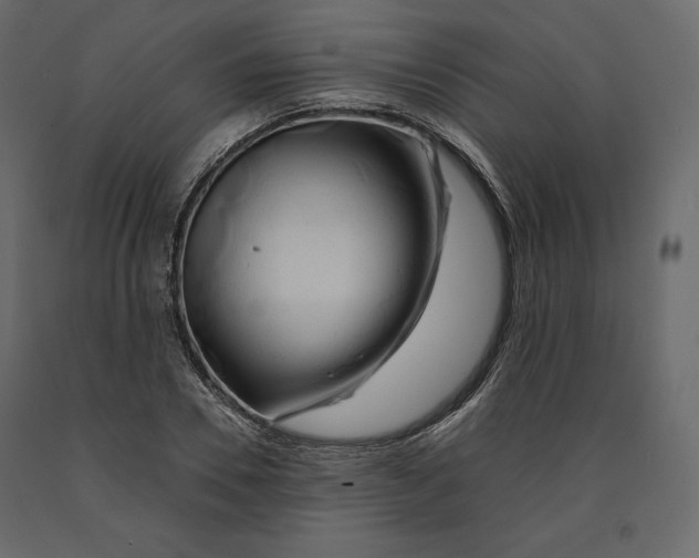 X0000090900930200708270941
