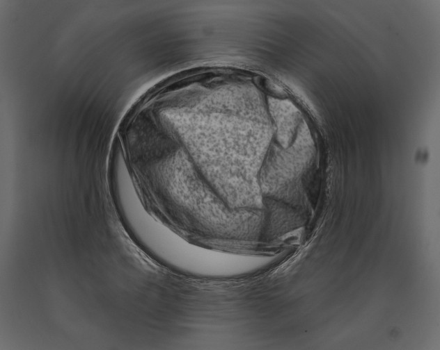 X0000090900932200708270941