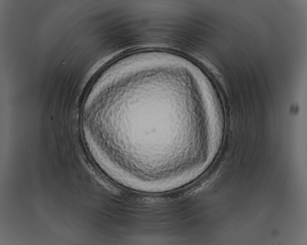 X0000090900933200708270941