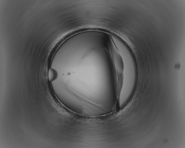 X0000090900934200708270941