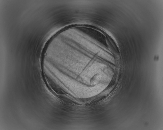 X0000090900935200708270941