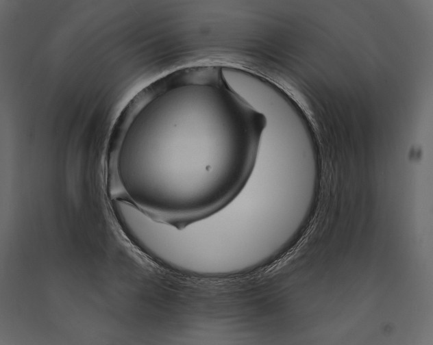 X0000090900936200708270941