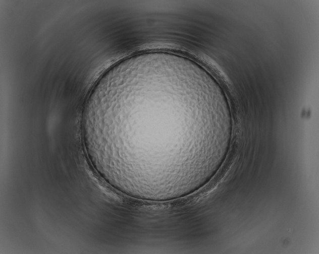 X0000090900937200708270941