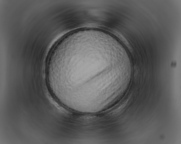 X0000090900939200708270941